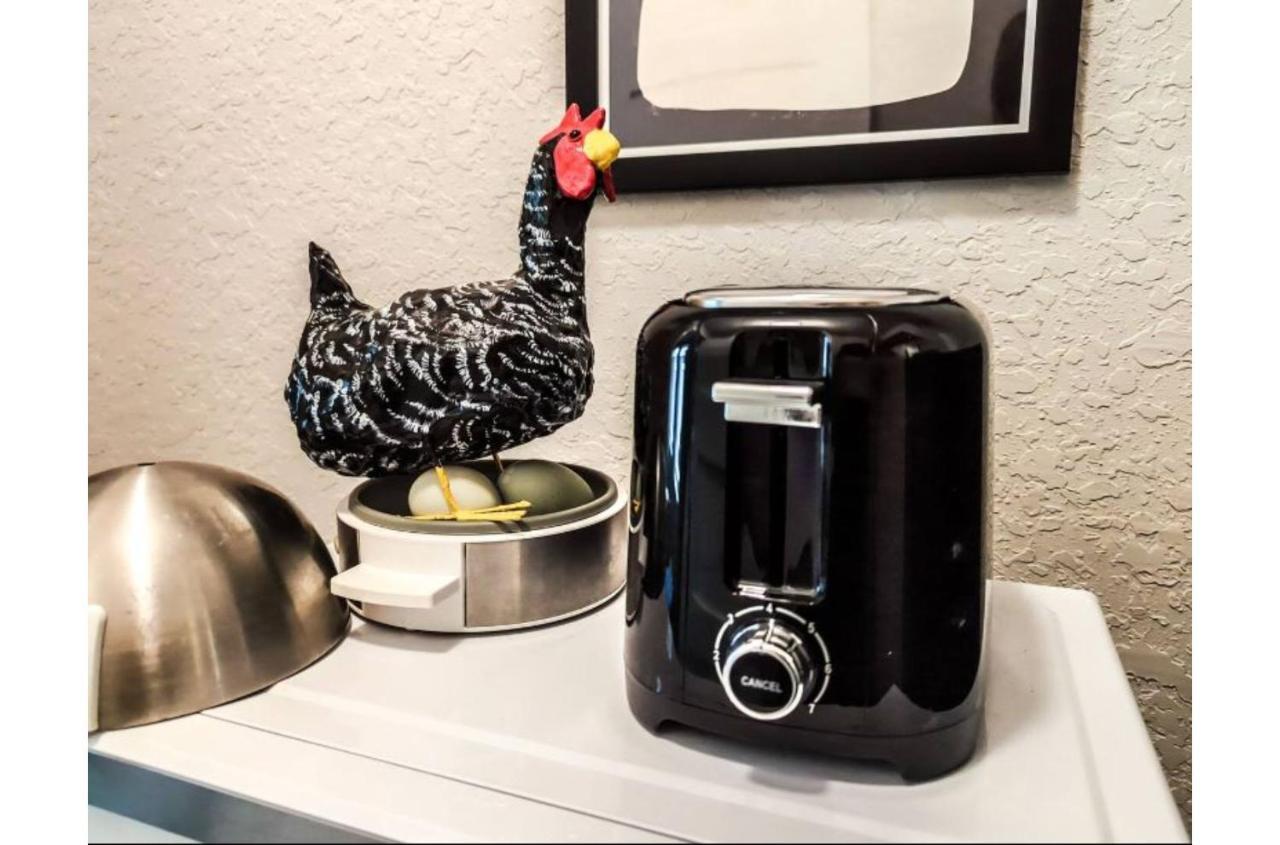 Charming Studio Wdeck Garden サンアントニオ エクステリア 写真